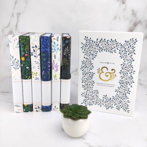 Bullet Archer & Olive