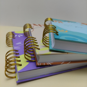 Bullet Journal Anillado